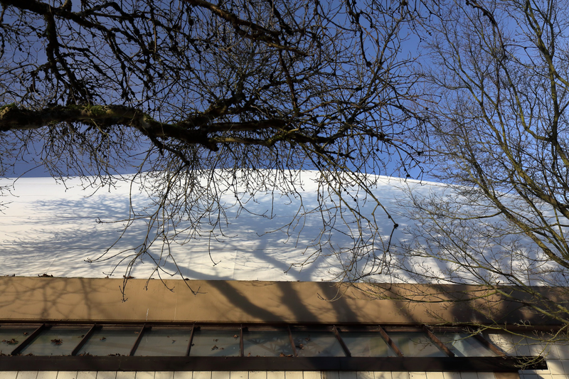 Illustration for article titled Pics from the Curbside: 2018-02-12 to The Boulevards